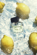Raaw No  Vacancy Eau