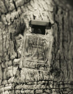 Raaw Blackened Santal EAU